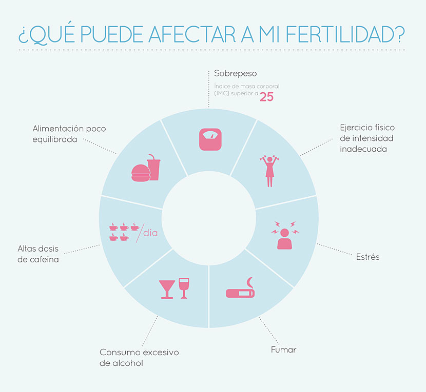 Infografía factores fertilidad