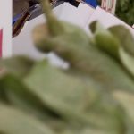 Qué son los nutrientes