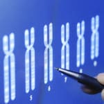 ¿Qué es el cariotipo?