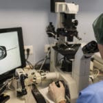 Donación de Óvulos paso a paso