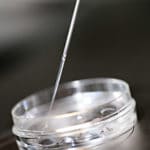 Fecundación del óvulo