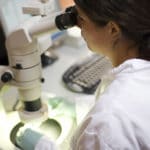 Pruebas de fertilidad