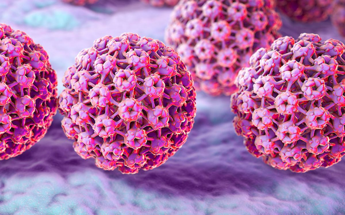 Virus del papiloma humano: ¿cómo se contagia? Síntomas y tratamiento •  Portal de salud